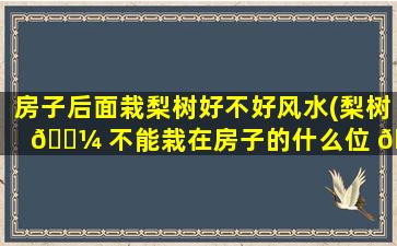 房子后面栽梨树好不好风水(梨树 🐼 不能栽在房子的什么位 🕷 置)